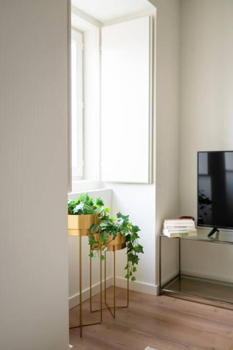 Pardal 1a - Boutique 2 Bed Lejlighed